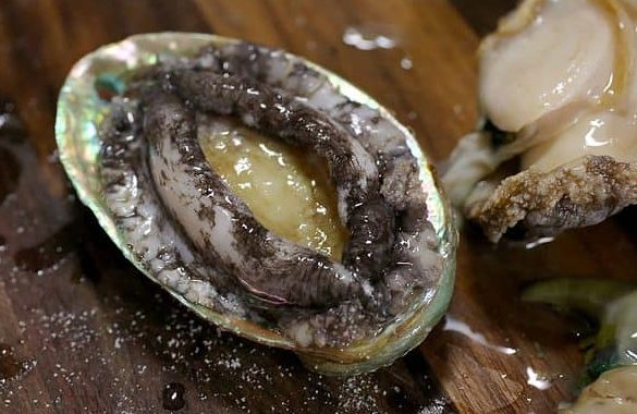 Abalone: A Comprehensive Guide to This Marine Delicacy