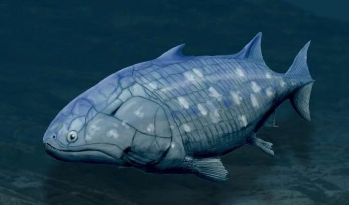 Actinopterygii