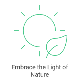 Artistic Style and Influence of  Aelbert Cuyp