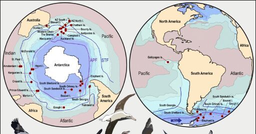 Biodiversity and Environment of Antarctic